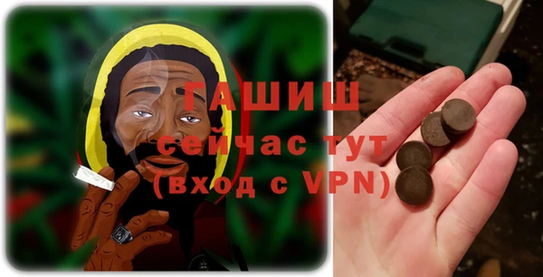 СК Алексин