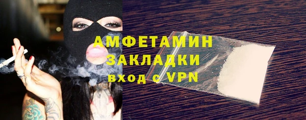 СК Алексин