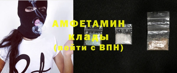 СК Алексин