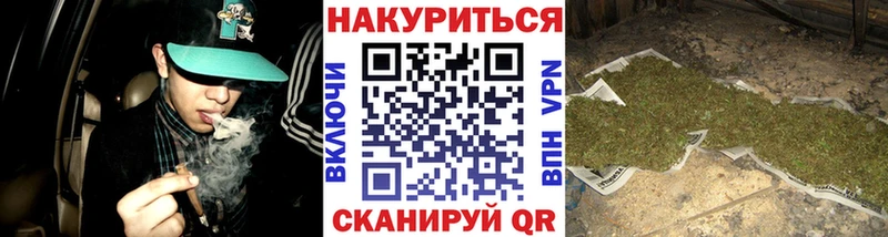 дарк нет как зайти  купить наркотики сайты  Махачкала  Бошки Шишки сатива 